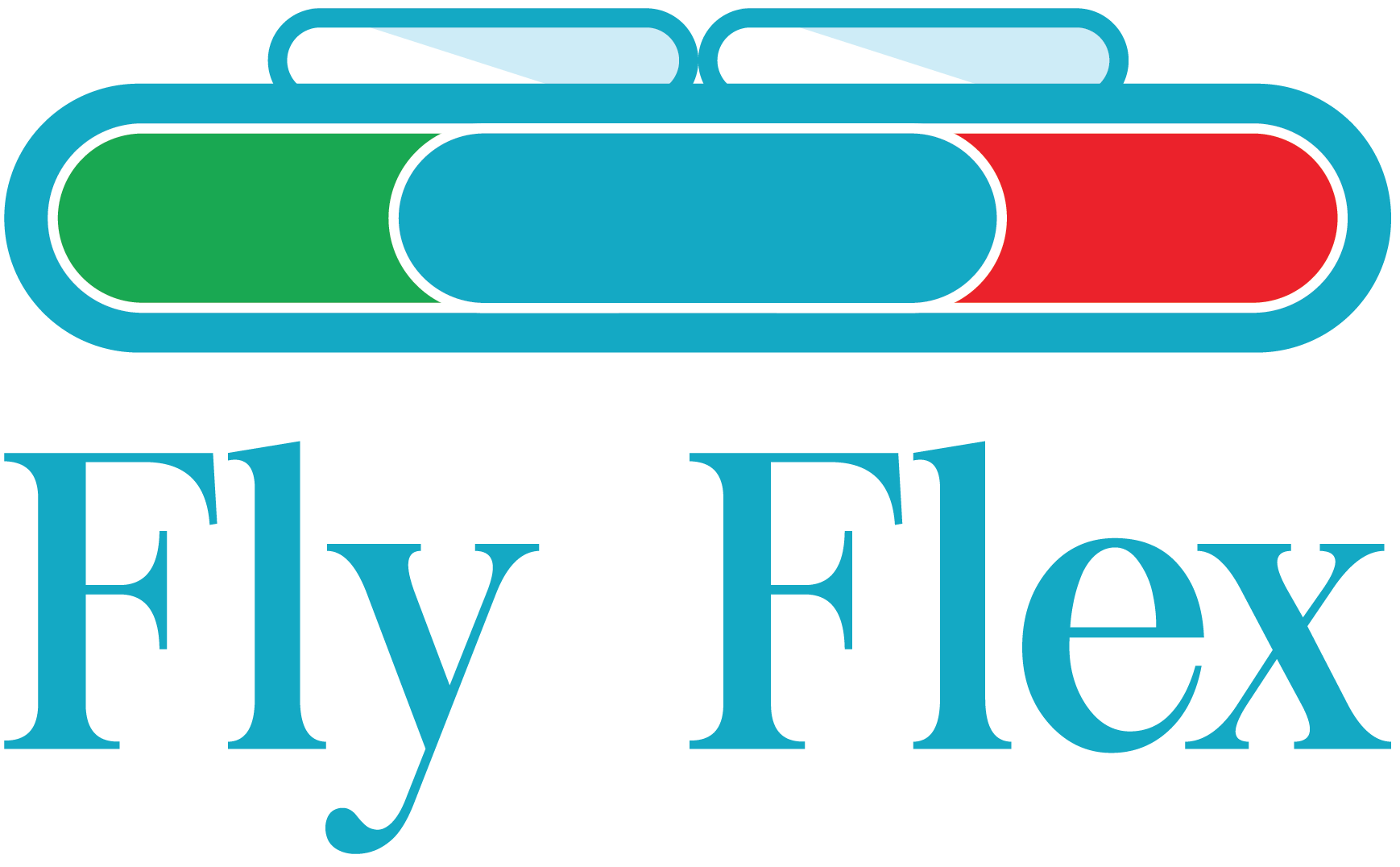 Flyflex