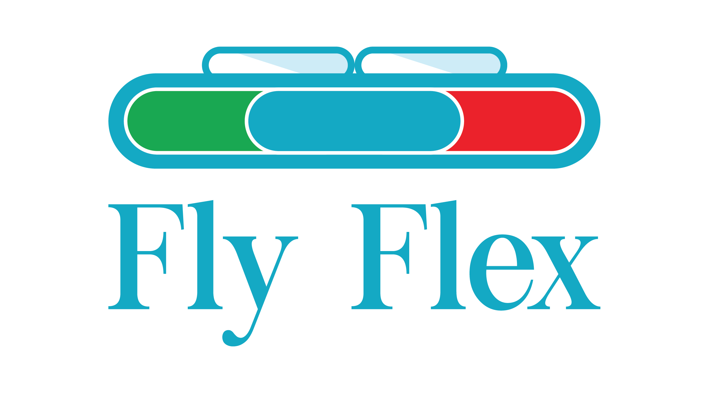 Flyflex